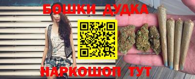 крисы Владикавказ