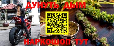 крисы Владикавказ